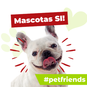 En estos locales podés venir con tu mejor amigo!!Firu, ¿Vamos de paseo? Locales:#Petfriends